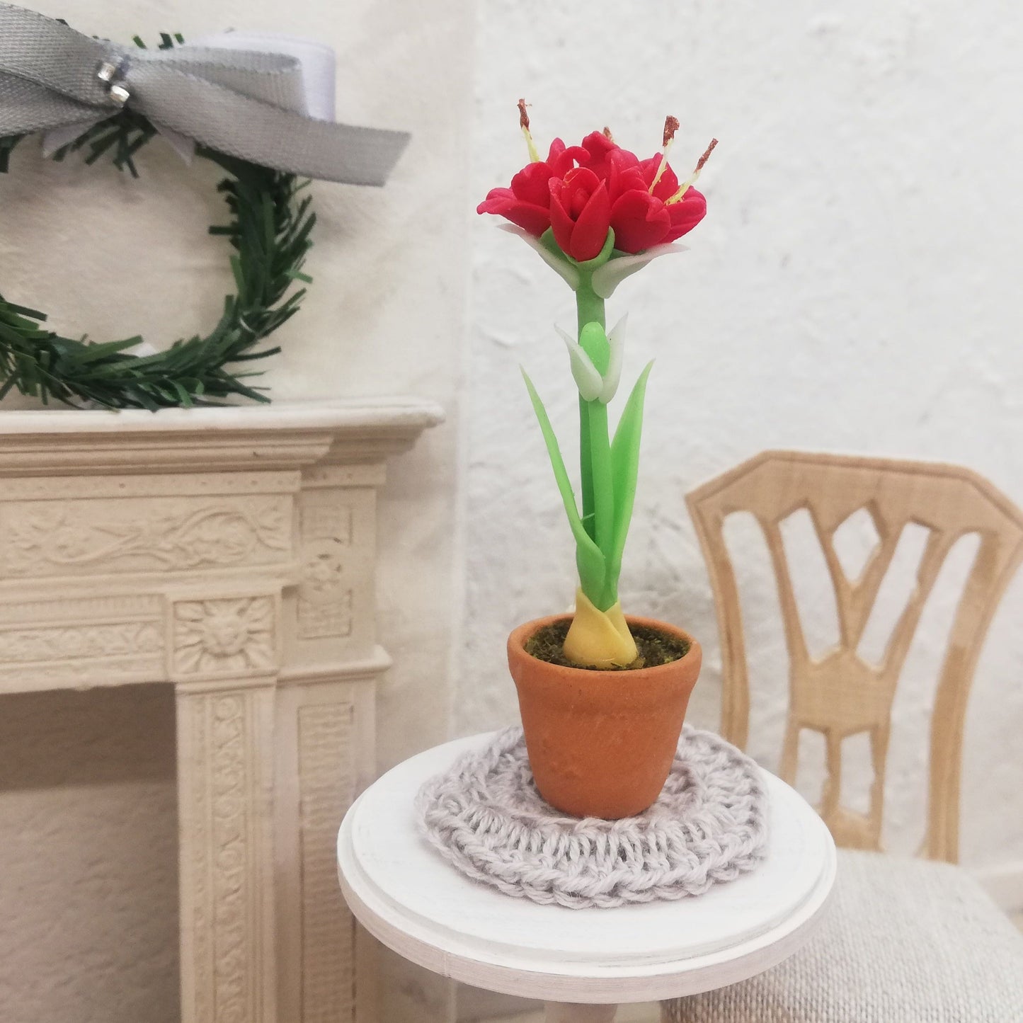 Amaryllis, 1:12