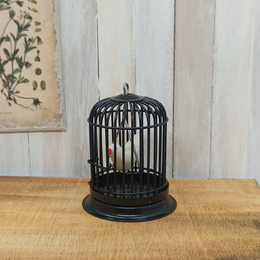 Lintuhäkki musta